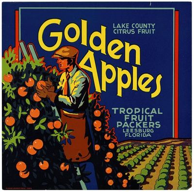 Golden Apples Citrus Label