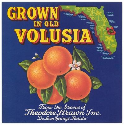 Grown in Old Volusia Can Label