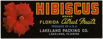 Hibiscus Brand Florida Citrus Fruit Label