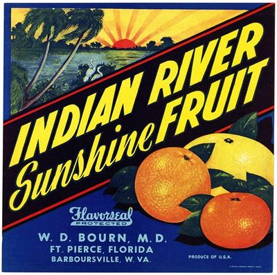 Indian River Sunshine Fruit Citrus Label