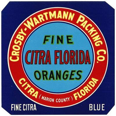 Label for Fine Citra Oranges - Blue