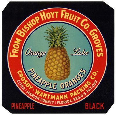 Label for Orange Lake Pineapple Oranges - Black