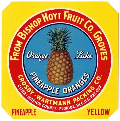 Label for Orange Lake Pineapple Oranges - Yellow
