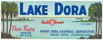 Lake Dora Brand Citrus Label
