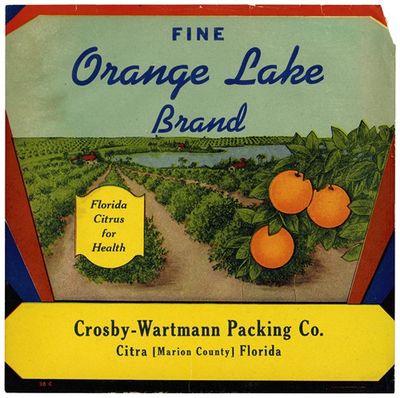 Orange Lake Brand Citrus Label