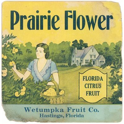 Prairie Flower Citrus Label