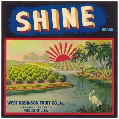 Shine Brand Fruit Label