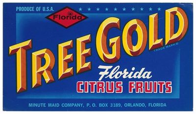 Tree Gold Florida Citrus Fruit Label