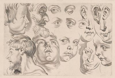 Study of Heads