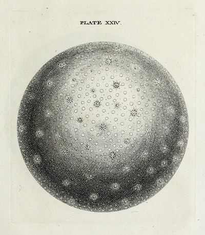 An original theory or new hypothesis of the universe, Plate XXIV