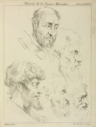 Five studies of men’s heads, four in profile