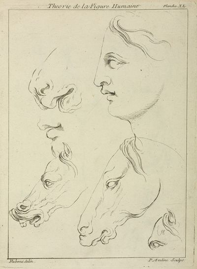 Horses’ heads and human head in profile, with detail of horse’s eye and nose