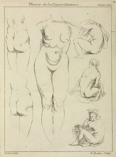 Studies of the female torso, buttocks, and seated figures, dorsal view