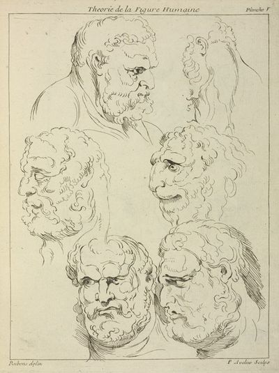 Studies of the head of a bearded man, and the head of a creature