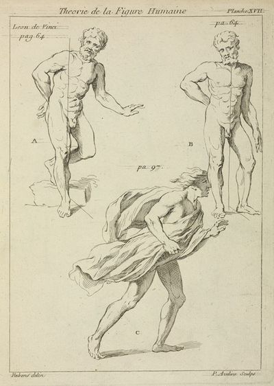 Three studies of the figure