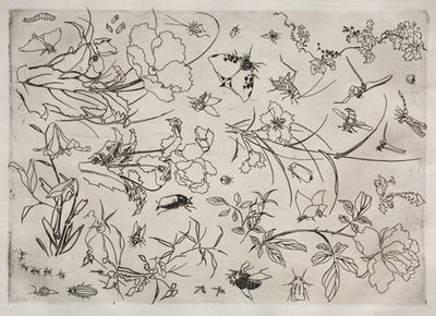Dinner Service (Rousseau service); Flowers and Insects (no. 15)