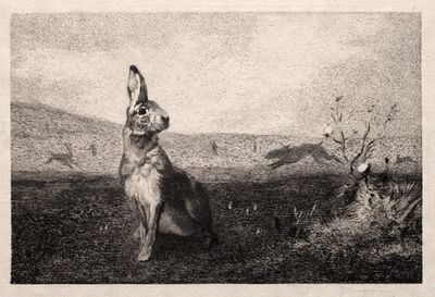 The Hare (after A. de Balleroy)