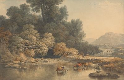 河流和牛群的丘陵景观