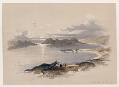 努比亚的Wadi Dabod。1838年11月16日。