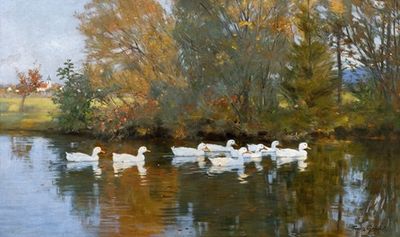 池塘上有鸭子的秋天风景