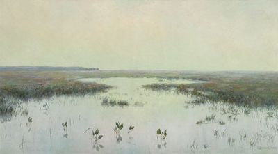水面上的黎明——沼泽