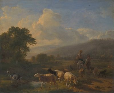 山区风景中的牧羊人与羊