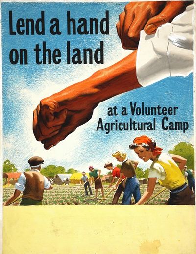 Lend a hand on the land at a Volunteer Agricultural Camp
