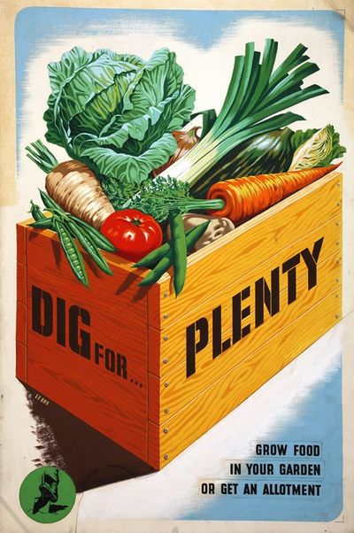 Dig for Plenty. Grow food in your garden or get an allotment