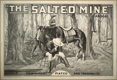 The Salted mine (Carson)