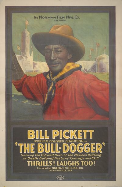 The Bull-dogger