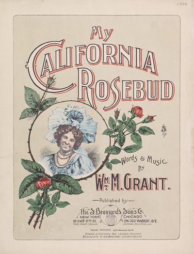 My California rosebud