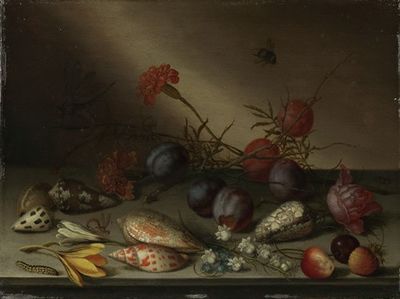 有贝壳、水果和花朵的静物