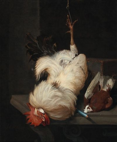 一只白公鸡和一只鸽子放在石桌上